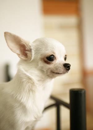 歯科治療にとても力を入れている