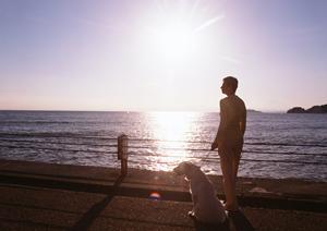 用途別におしゃれな犬服を提案します
